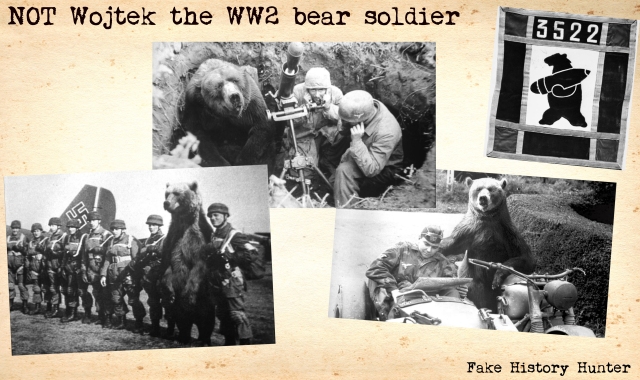 NOT Wojtek the WW2 bear soldier – Fake History Hunter